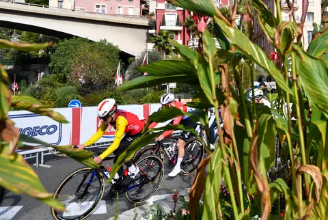 Ciclisti in curva visti tra le grandi foglie di una pianta; in primo piano una maglia rossa e gialla Cofidis